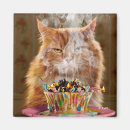 Search for funny birthday magnets Cat