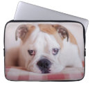 Search for mammals cases Cute