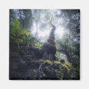 Search for forests magnets Tree