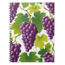 Search for grapes notebooks Pattern