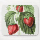 Search for strawberry mousepads Vintage