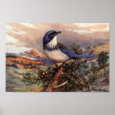Search for scrubbing art Jay