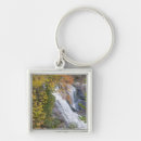 Search for balde key rings Forest