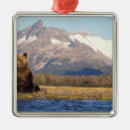 Search for alaska christmas tree decorations Peak