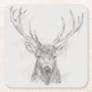 Search for sketched coasters Animal