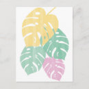 Search for tropical greenery postcards Monstera