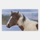 Search for tri colour stickers Pet