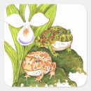 Search for frogs stickers Rainforest