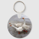 Search for beak round key rings Animals