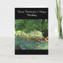 Search for tulip tree cards Flowers