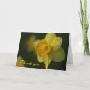Search for daffodil thank you cards Flowers