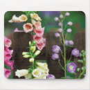 Search for nancy mousepads Jaynes gallery