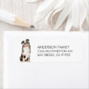Search for australian shepherd dog return address labels Watercolor