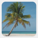 Search for beach palm tree stickers Blue