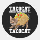 Search for cat meme stickers Aesthetic