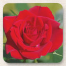 Search for red rose coasters Nature