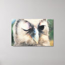 Search for owl pics canvas prints Horizontal