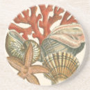 Search for sea shell coasters Reef