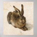 Search for hare Durer