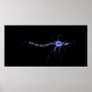Search for informational posters Biology