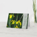 Search for irises cards Floral