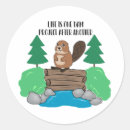 Search for dam Beaver
