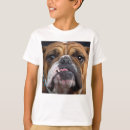 Search for english bulldog clothing Animals