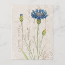 Search for carte postcards Blue