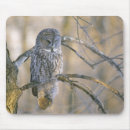 Search for gallery mousepads Ie