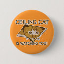 Search for lol cat badges Kitten