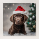 Search for chocolate labrador puzzles Brown