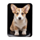 Search for tall magnets Cute