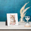 Search for cat plaques Kitten