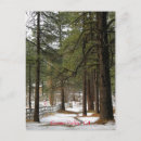 Search for ranch christmas cards Winter