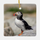 Search for puffin christmas tree decorations Animal
