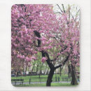Search for springtime mousepads Cherry