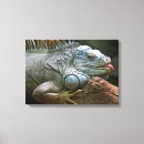 Search for close up canvas prints Cute