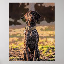 Search for german shorthaired pointer art Pet