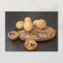 Search for walnuts Natural