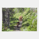 Search for brown bear tea towels Wildlife