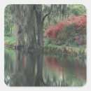 Search for growing plants stickers Flora