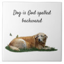 Search for dog breeds tiles Labrador