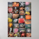 Search for underwater art Sea