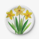 Search for daffodil plates Yellow