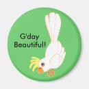 Search for flirting magnets Cute