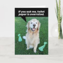Search for toilet humor cards Dog
