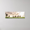 Search for cow animal art Sunset