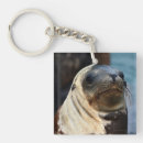 Search for sea lion key rings Ocean