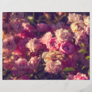 Search for scrapbook photography Pink