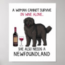 Search for newfoundland dog posters Animal
